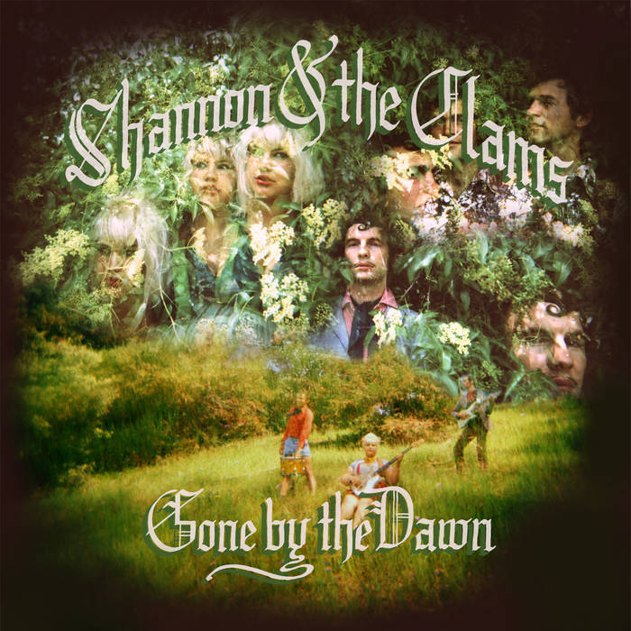 Album cover art for "It’s Too Late" by Shannon & The Clams