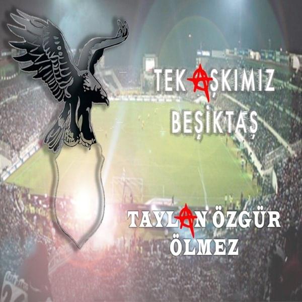 Album cover art for "Tek Aşkımız Beşiktaş" by Taylan Özgür Ölmez