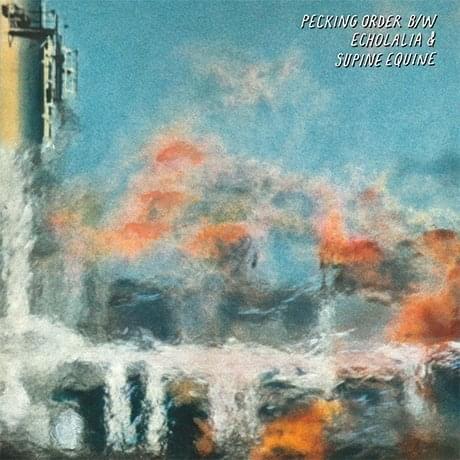Album cover art for "Pecking Order" by Alvvays