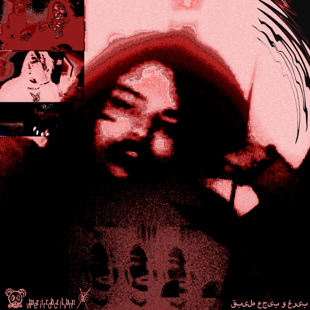 Cover image for TERMINAL_2