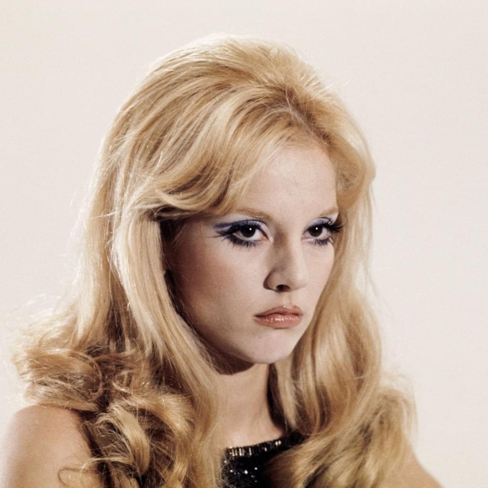 Cover image for Sylvie Vartan
