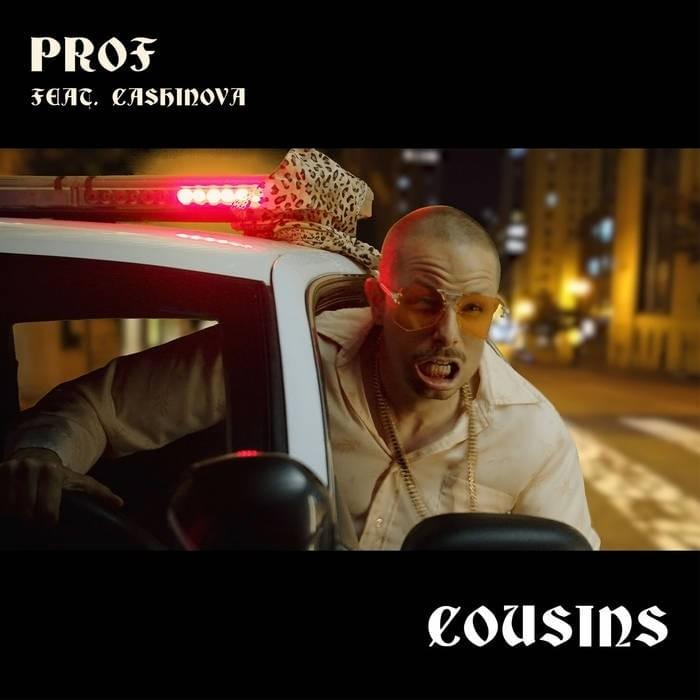 Cover image for Cousins