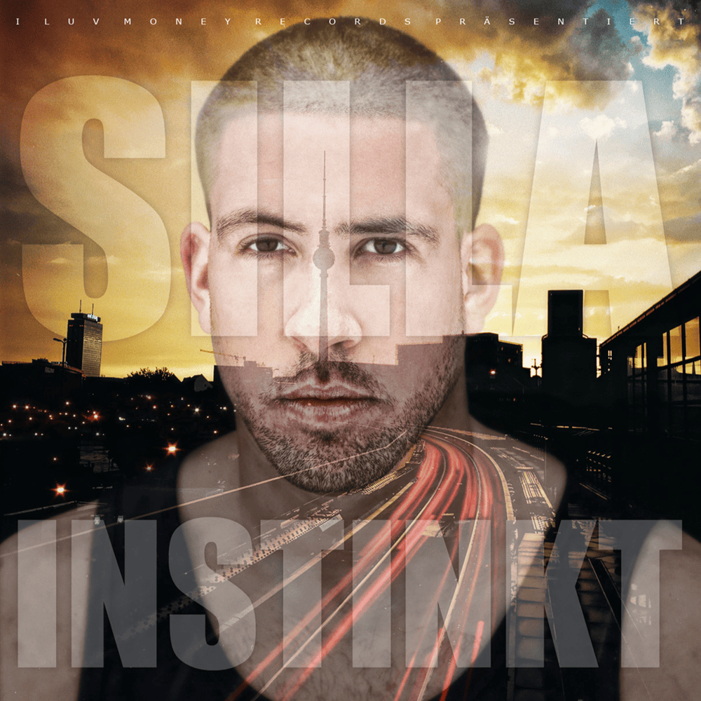 Ich hasse dich zu lieben by Silla