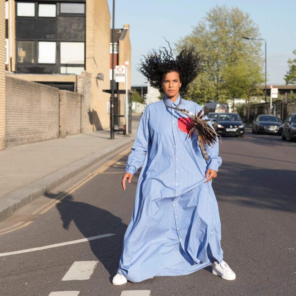 Album cover art for "Shot Gun Shack" by Neneh Cherry