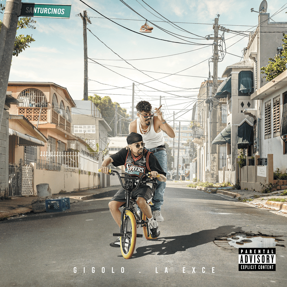 Cover image for Santurcinos
