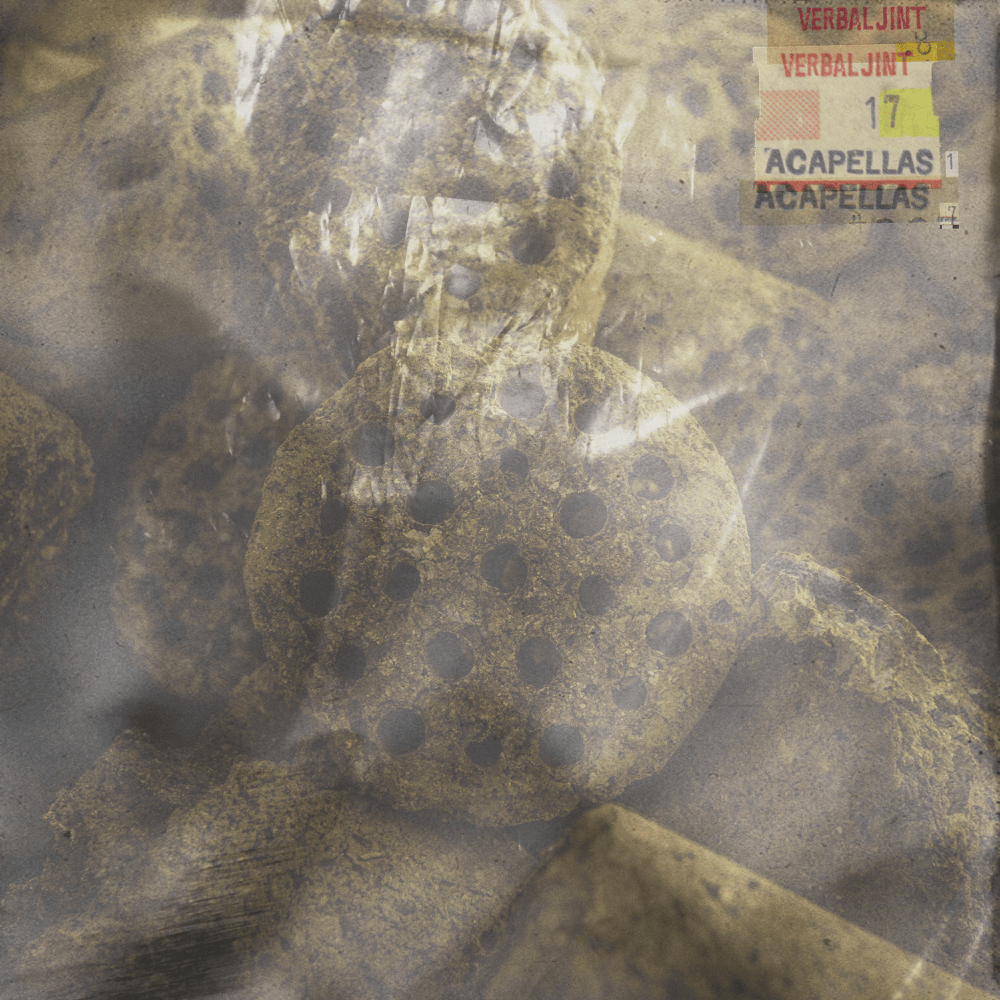 Cover image for 17 Acapellas EP