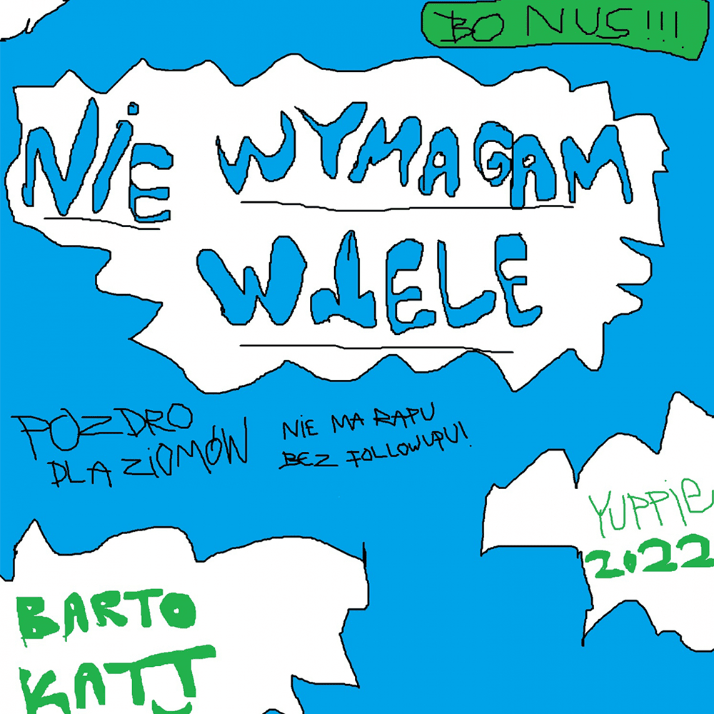 Album cover art for "Nie wymagam wiele (Bonus Track)" by Barto Katt