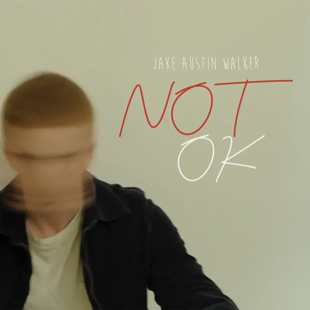Not Ok by Jake Austin Walker