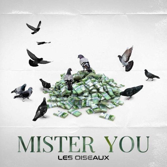 Album cover art for "Pénurie" by Mister You