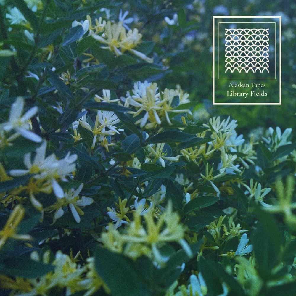 Library Fields by Alaskan Tapes