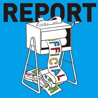 Cover image for REPORT
