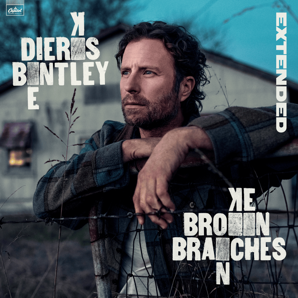 Cover image for Broken Branches (Extended)