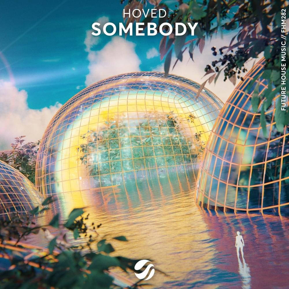 Somebody by Hoved