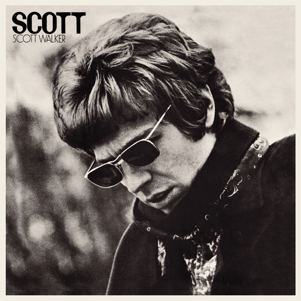 Album cover art for "The Big Hurt" by Scott Walker