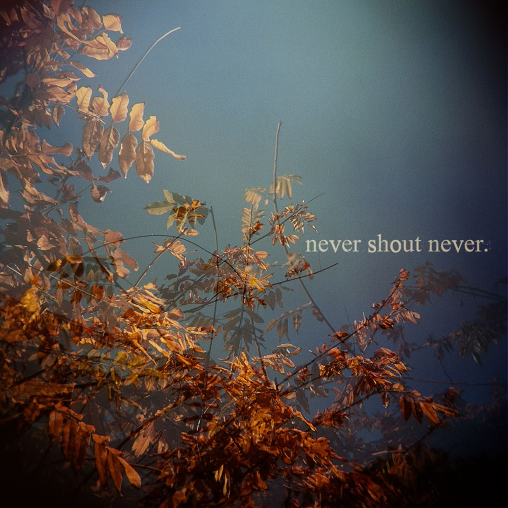 Cover image for Never Shout Never - EP
