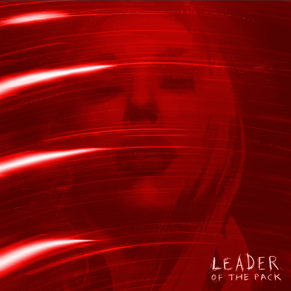 Album cover art for "Leader Of the Pack" by Tseba