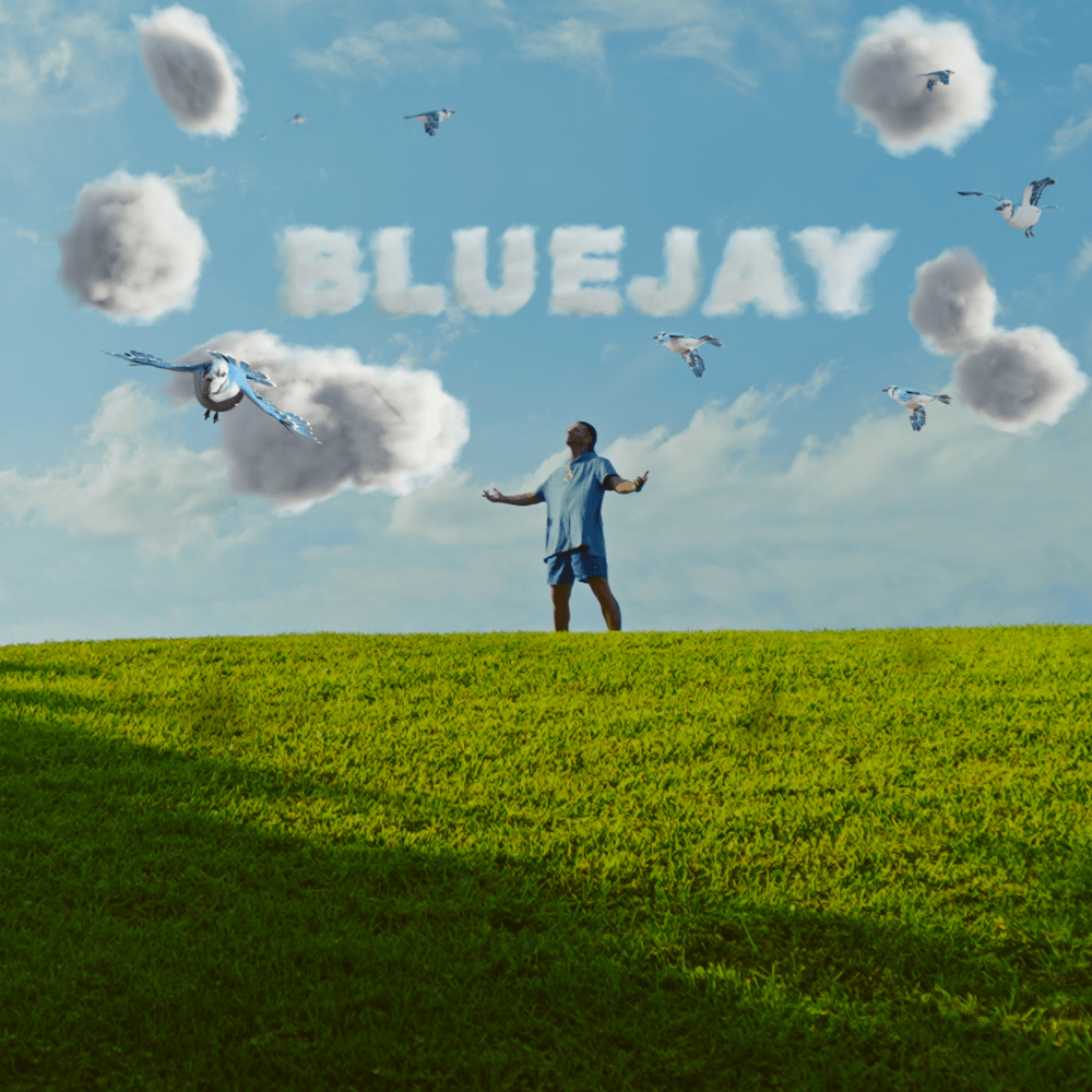 Album cover art for "Bluejay" by RiFF RAFF