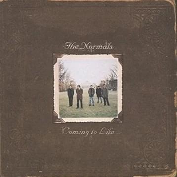 Survivor by The Normals