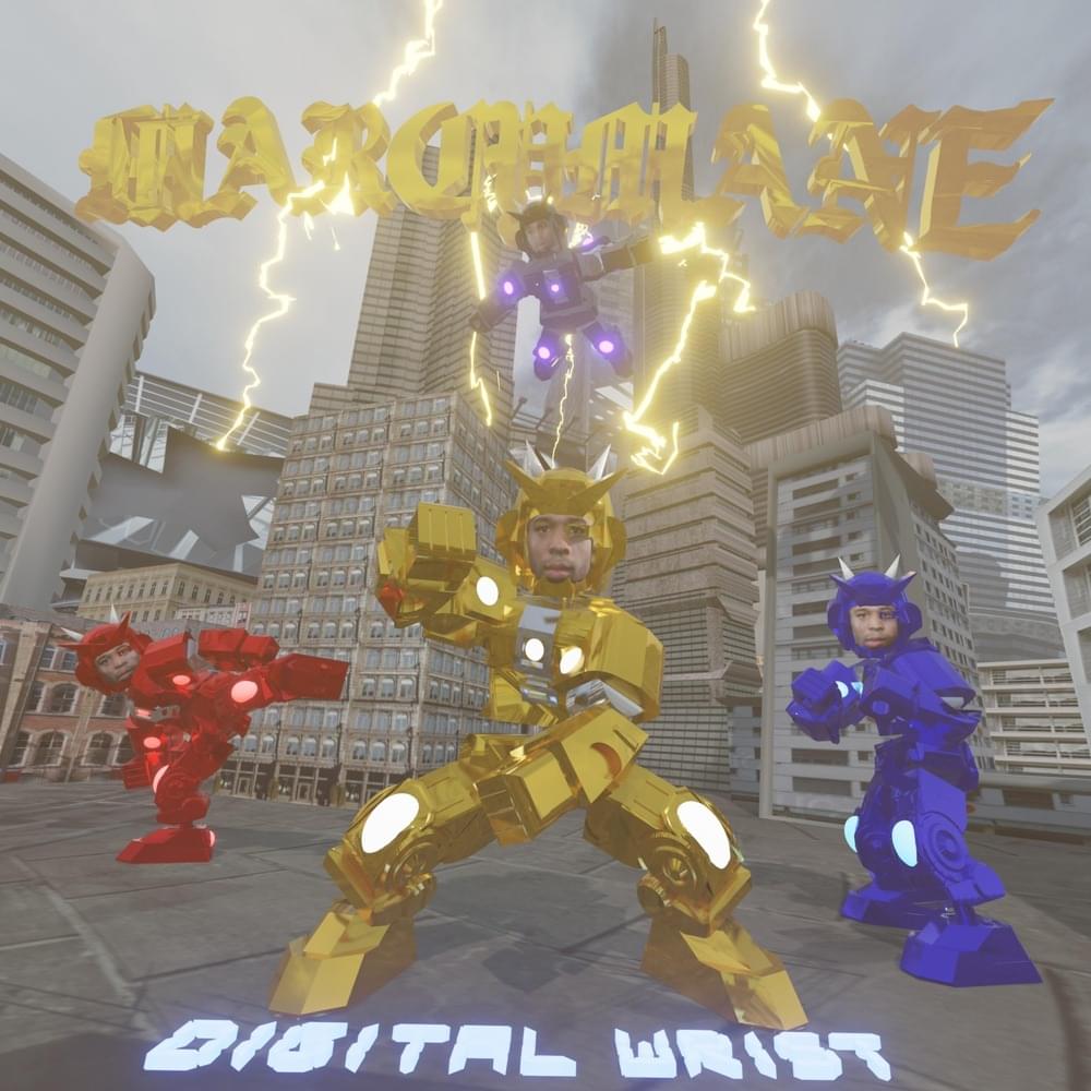 Cover image for Digital Wrist