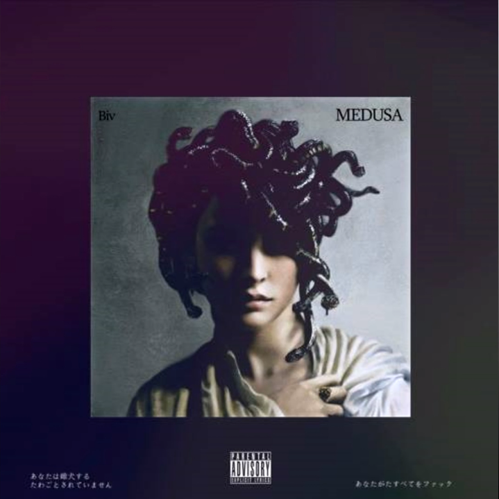 Cover image for Medusa
