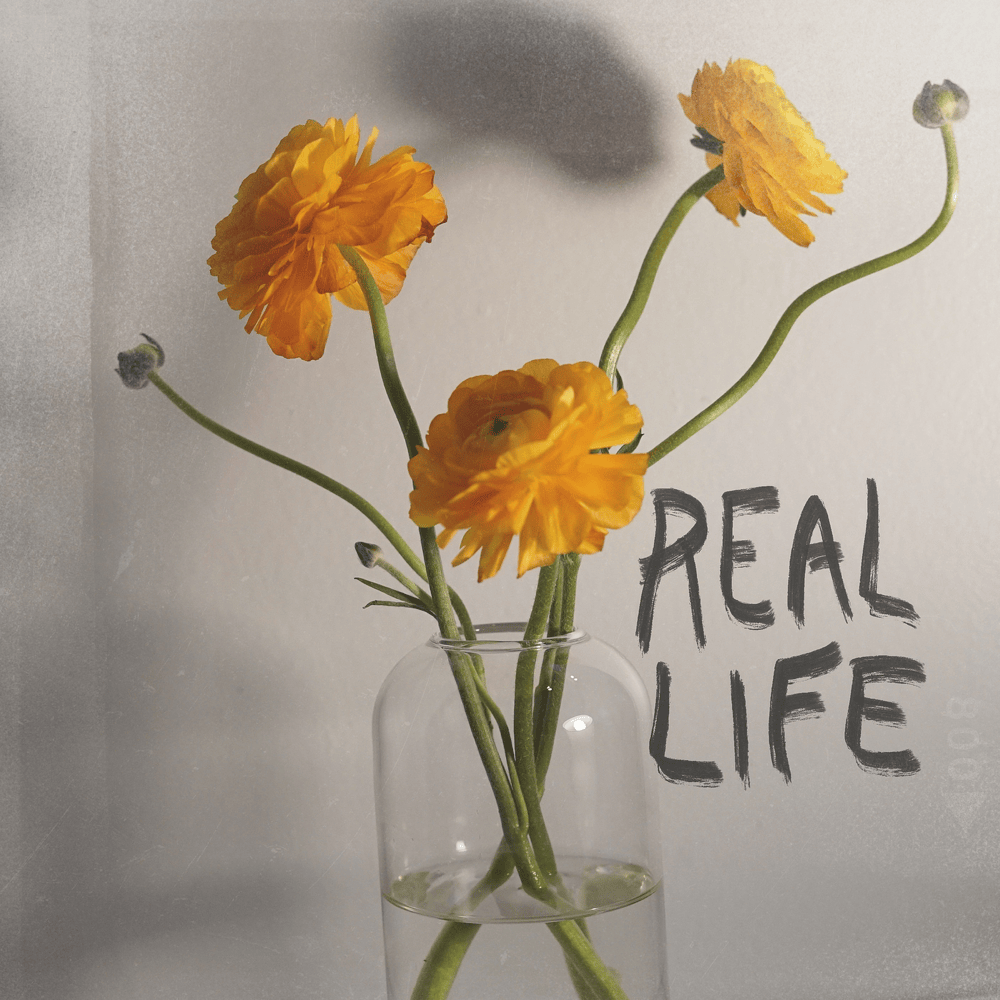 Album cover art for "Real Life" by Remedy Drive
