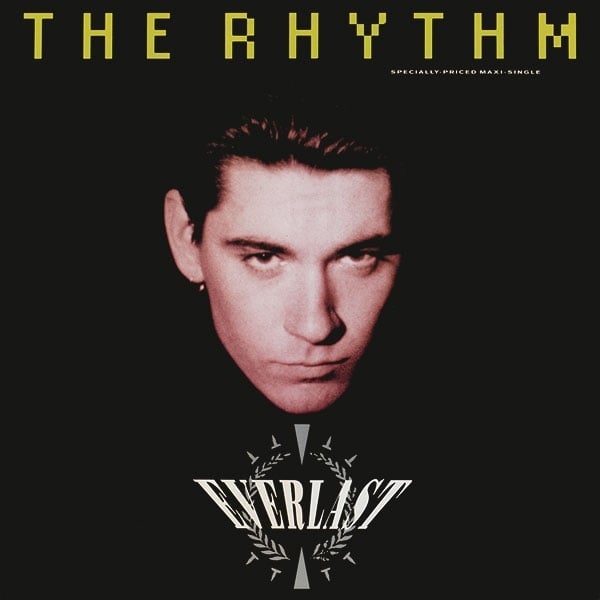 Album cover art for "The Rhythm" by Everlast & Ice-T & Donald-D