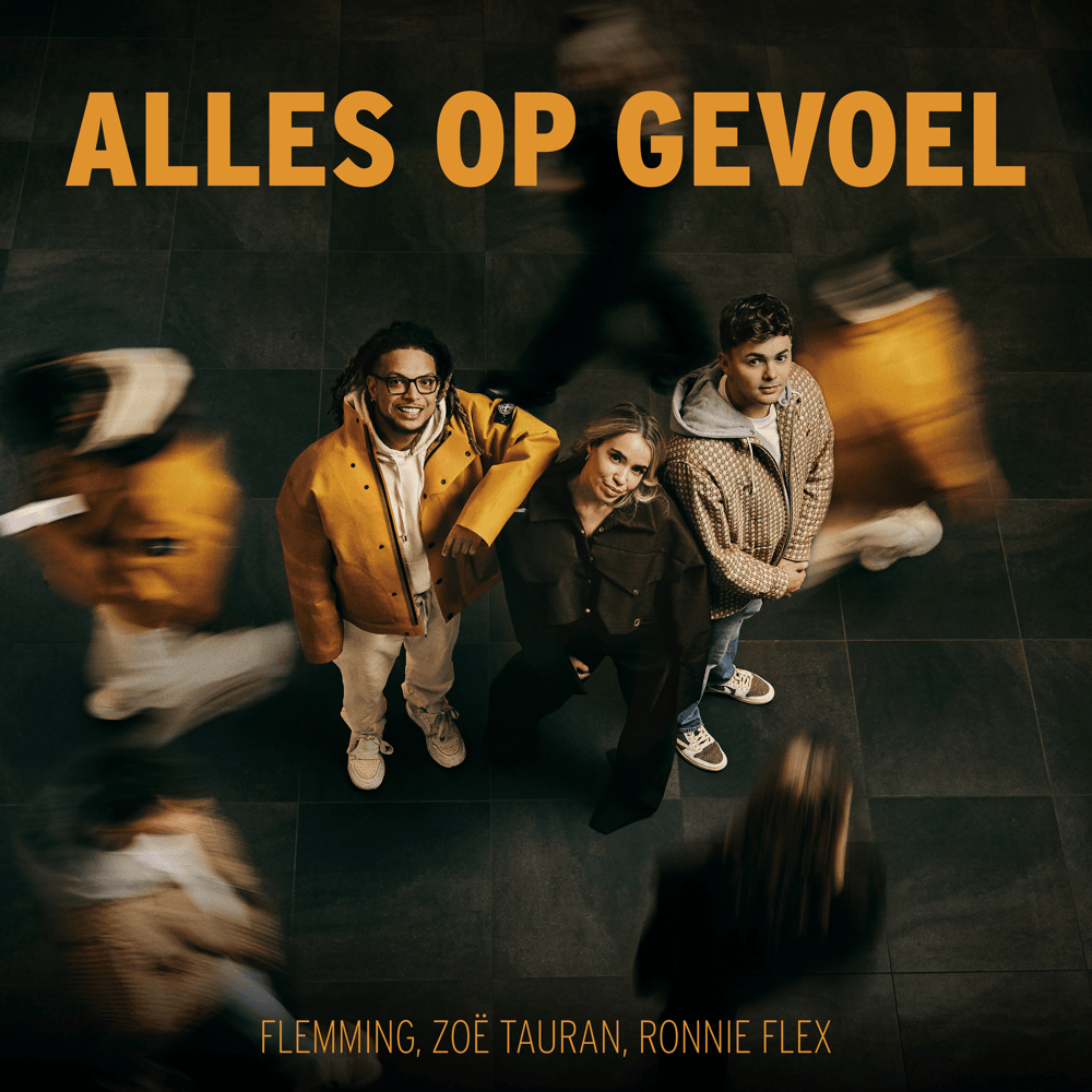 Alles Op Gevoel by FLEMMING
