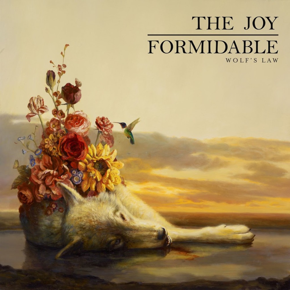Album cover art for "Little Blimp" by The Joy Formidable