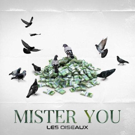Album cover art for "Le rosier" by Mister You