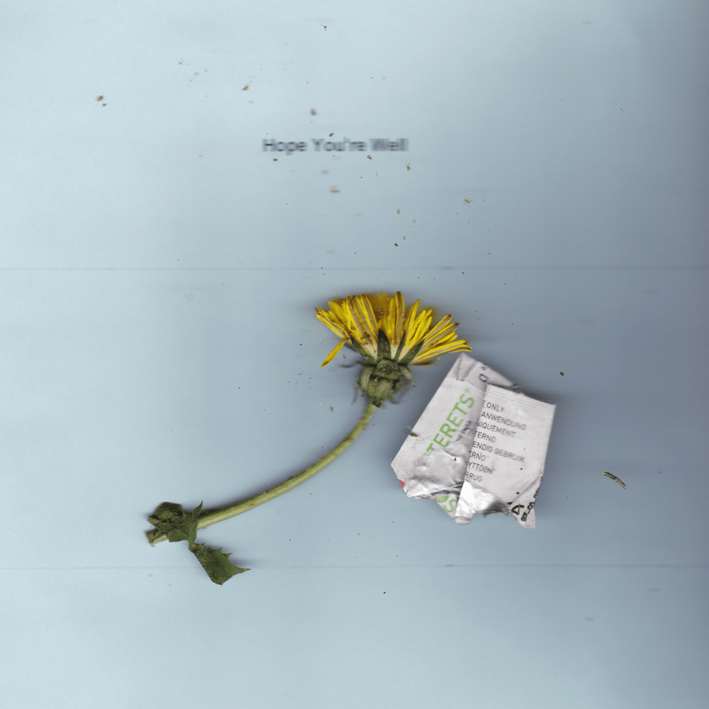 Cover image for Hope You’re Well
