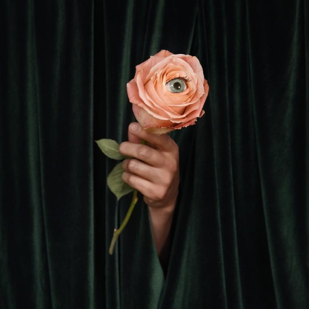 Cover image for Unusual