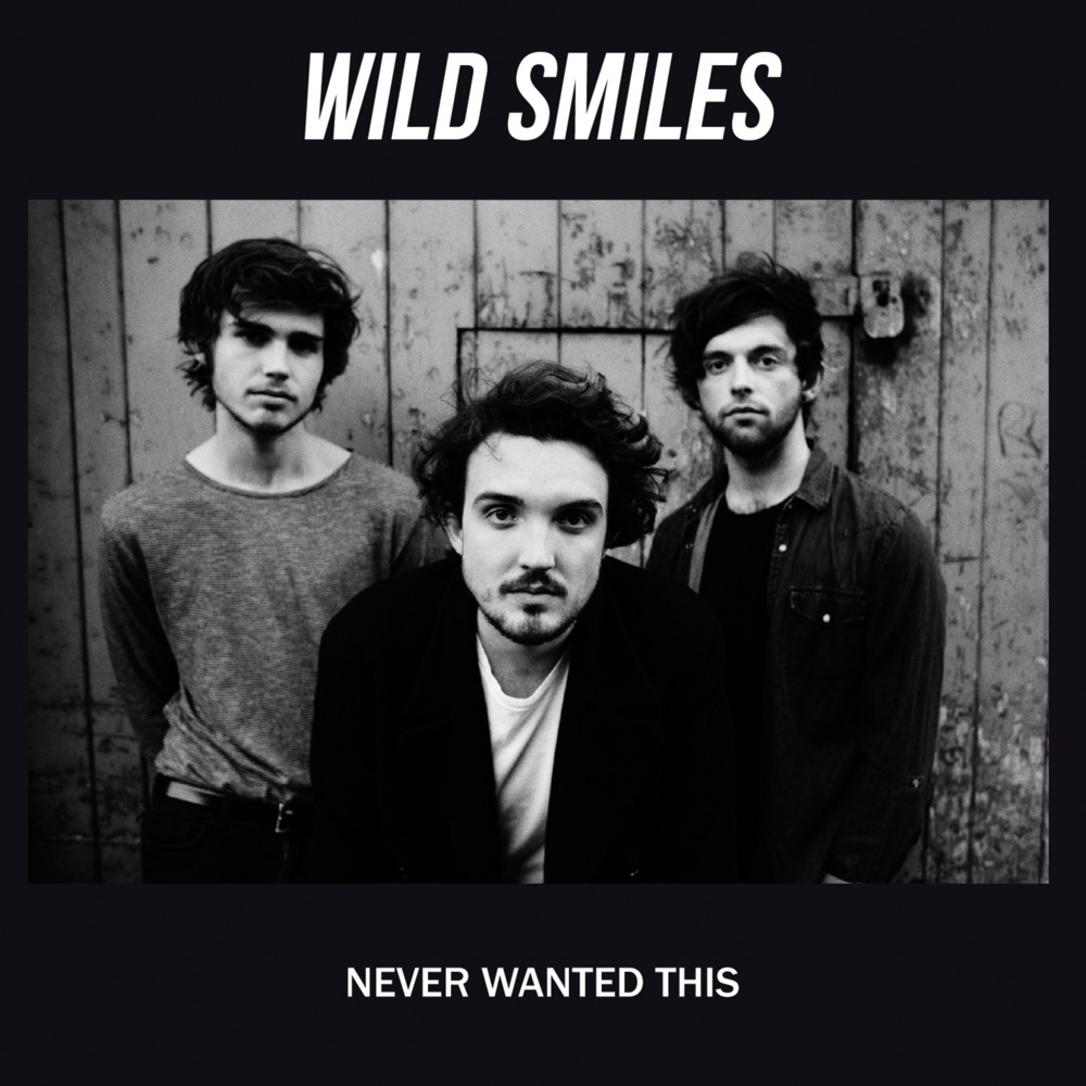 Never wanted this by Wild smiles