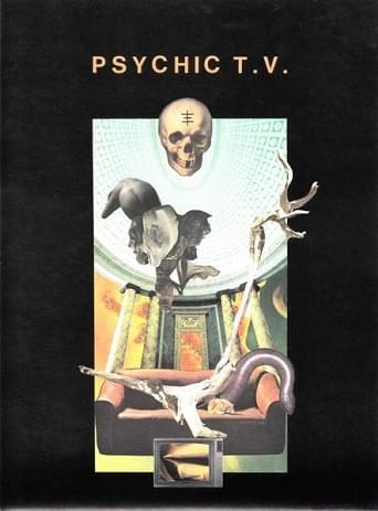 Cover image for Roman P.