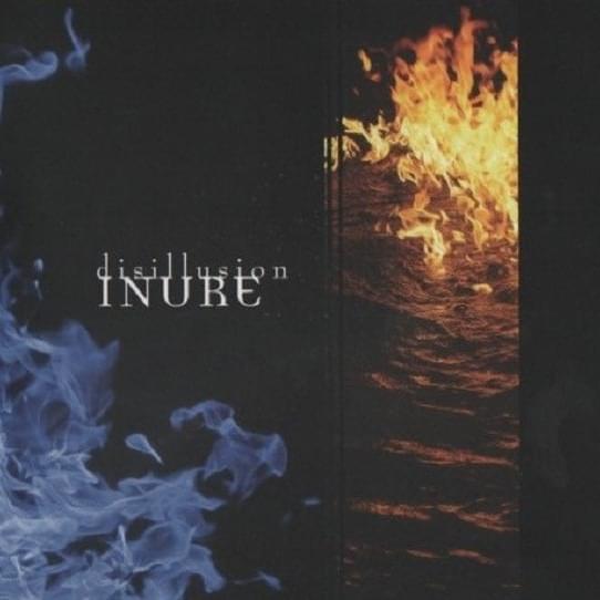 Cover image for Disillusion