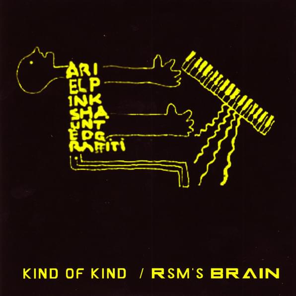 Album cover art for "R. Stevie’s Brain" by Ariel Pink