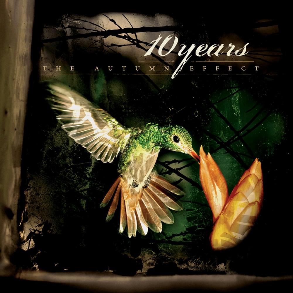 Cover image for The Autumn Effect