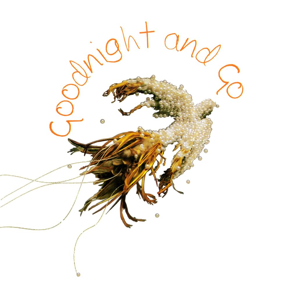 Goodnight and Go by Imogen Heap