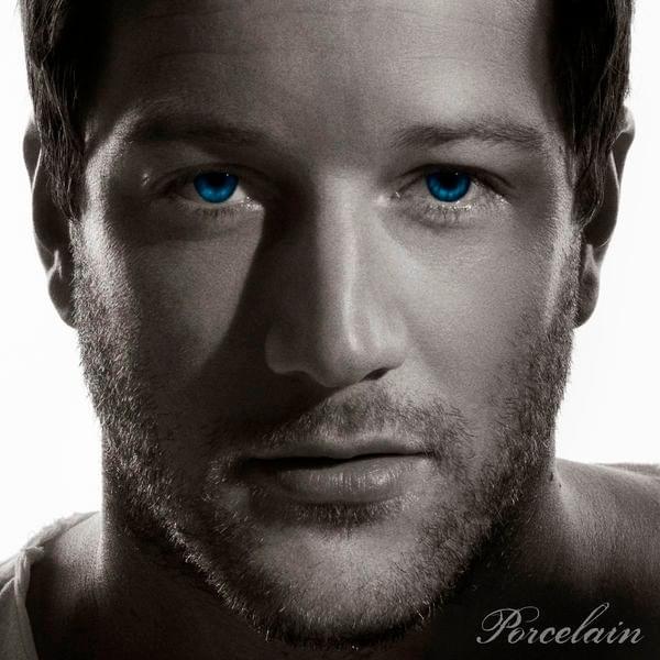 Cover image for Porcelain