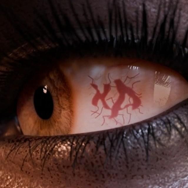 Cover image for XA (Xavier Anthony)