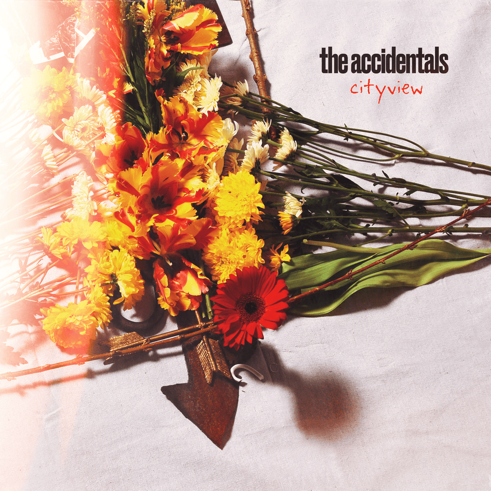 Album cover art for "Cityview" by The Accidentals