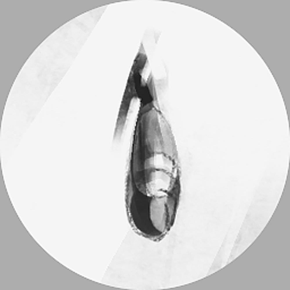 Album cover art for "Pupa" by Antoine Grelet