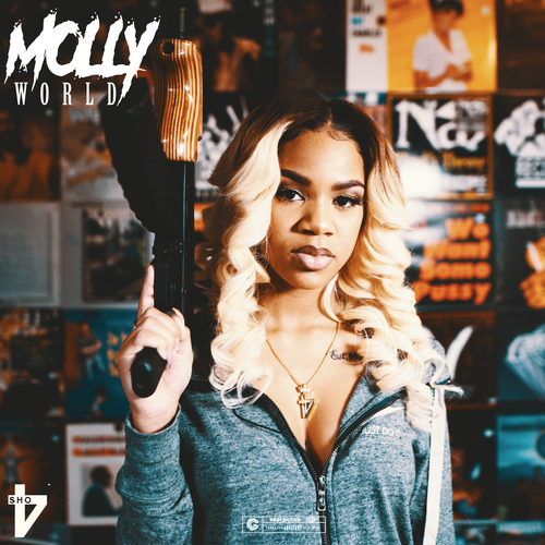 Album cover art for "Intro" by Molly Brazy