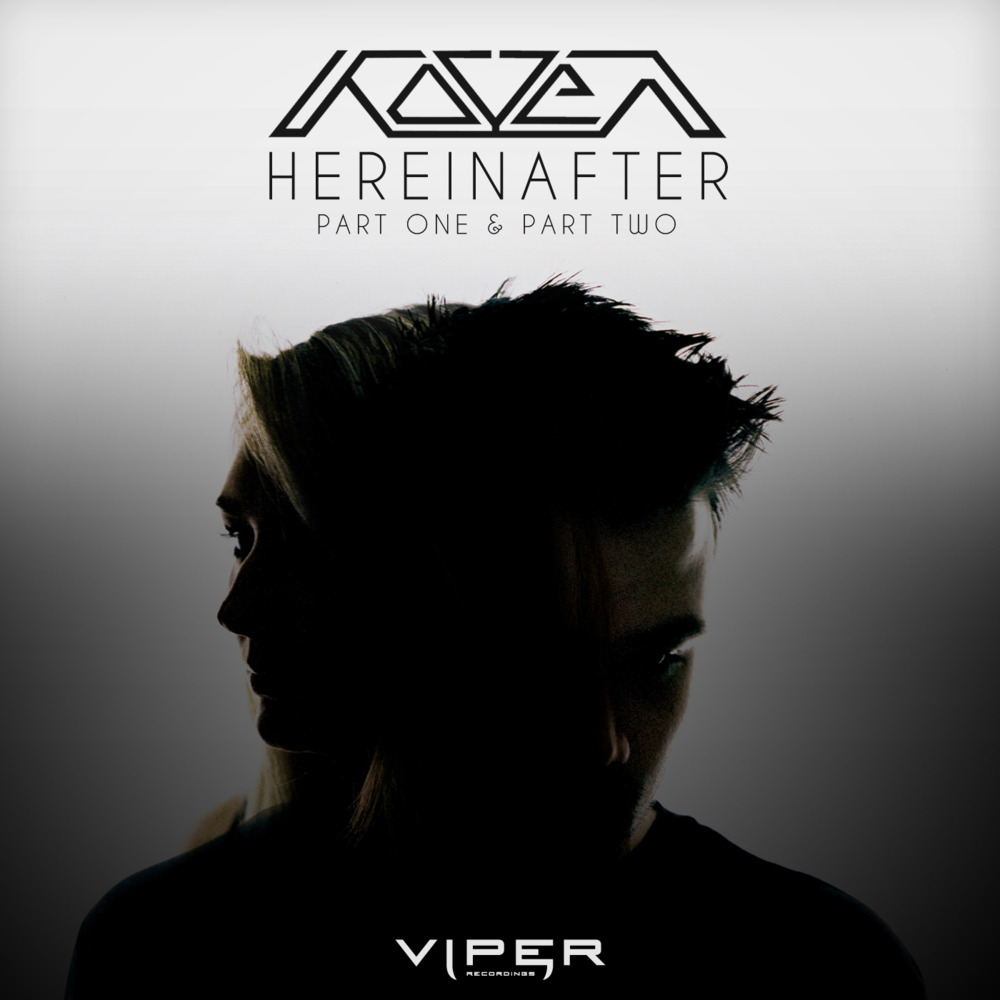 Cover image for Hereinafter