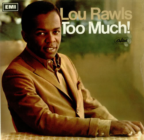 Cover image for Too Much!