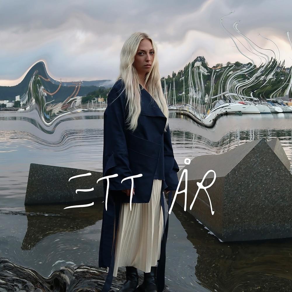 Cover image for Ett år