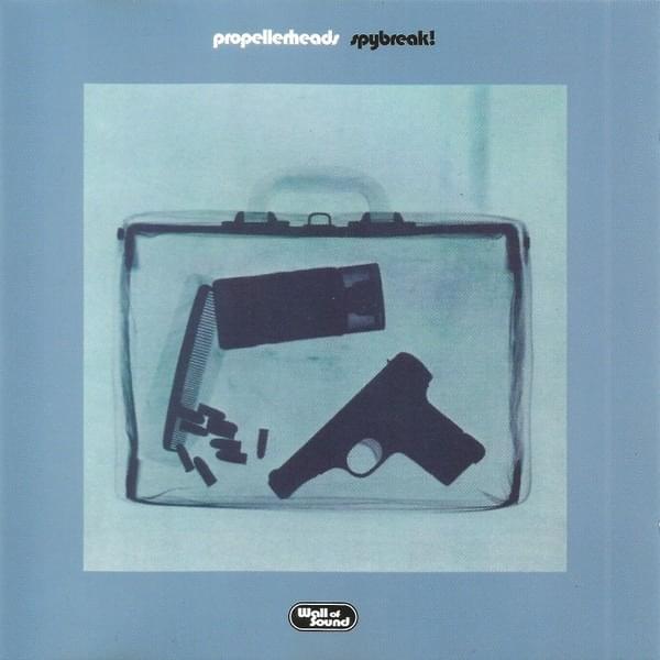 Cover image for Spybreak! (Blue)