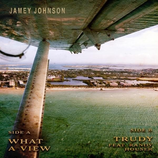 Album cover art for "What A View" by Jamey Johnson