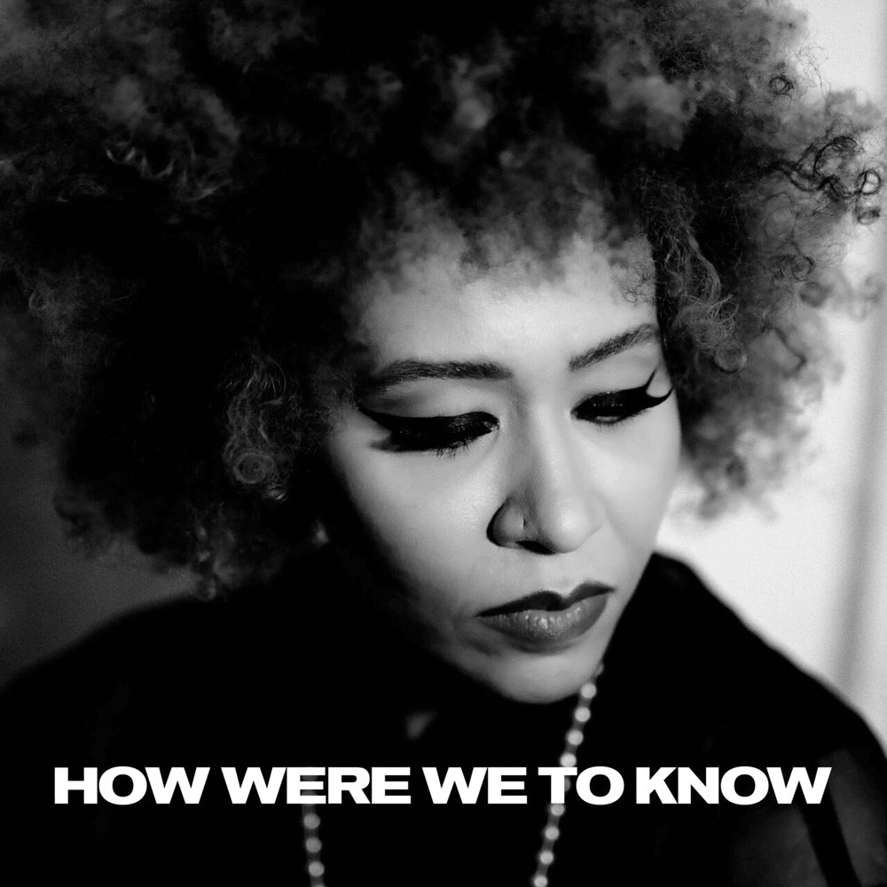 Album cover art for "How Were We To Know" by Emeli Sandé