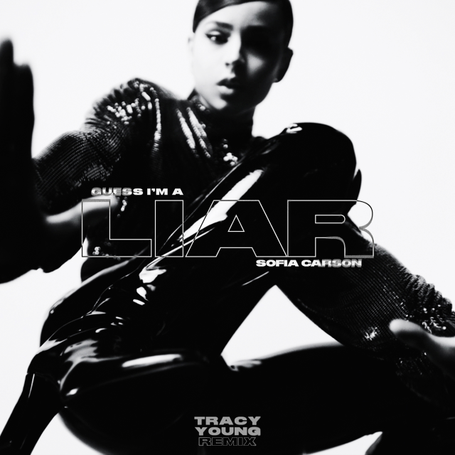 Cover image for Guess I’m a Liar (Tracy Young Remix) - Single