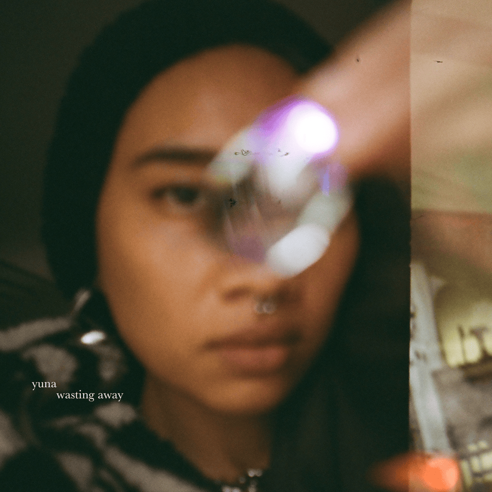 Cover image for Wasting Away